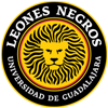 LEONES NEGROS